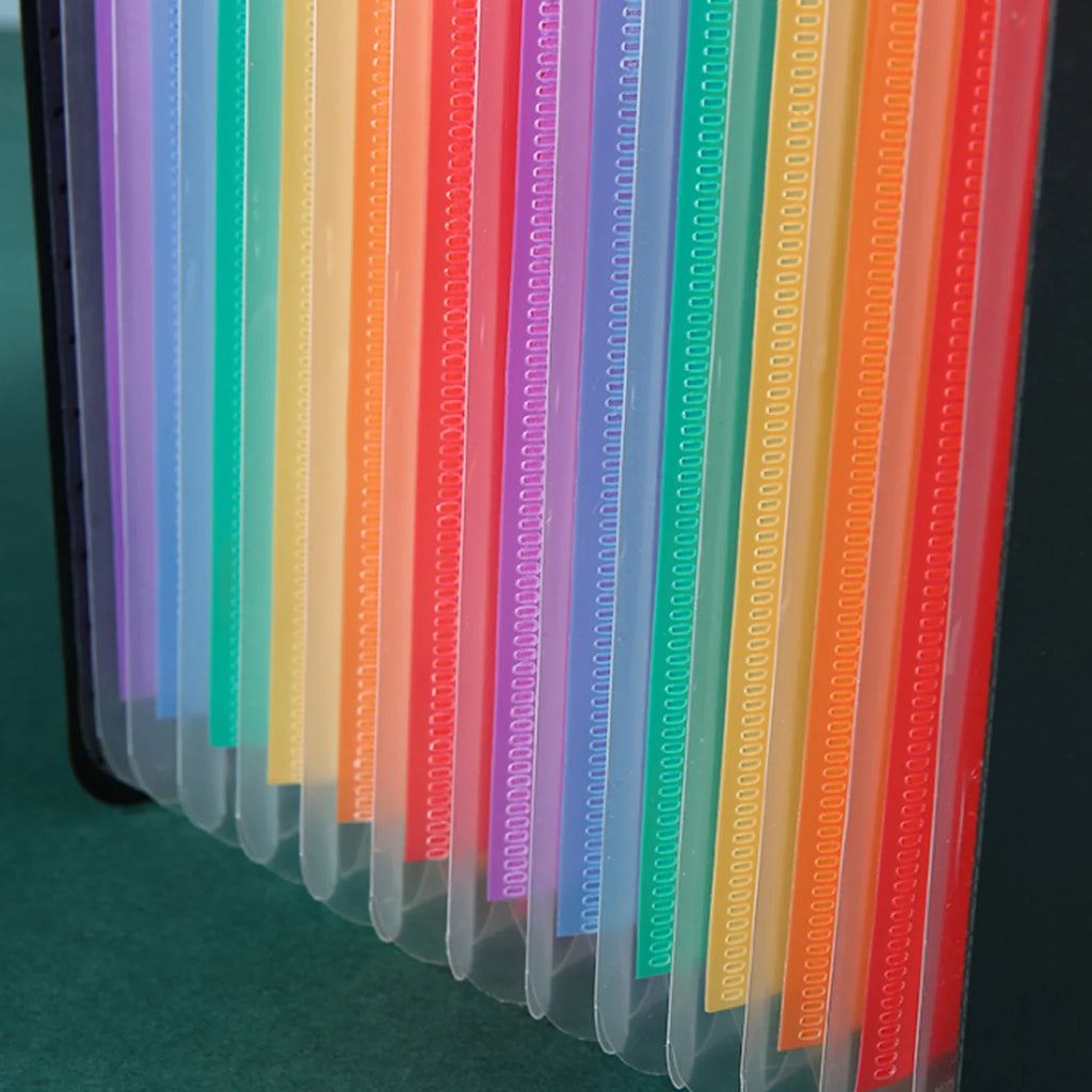 A4 Expanding File Folder with Color Tabs
