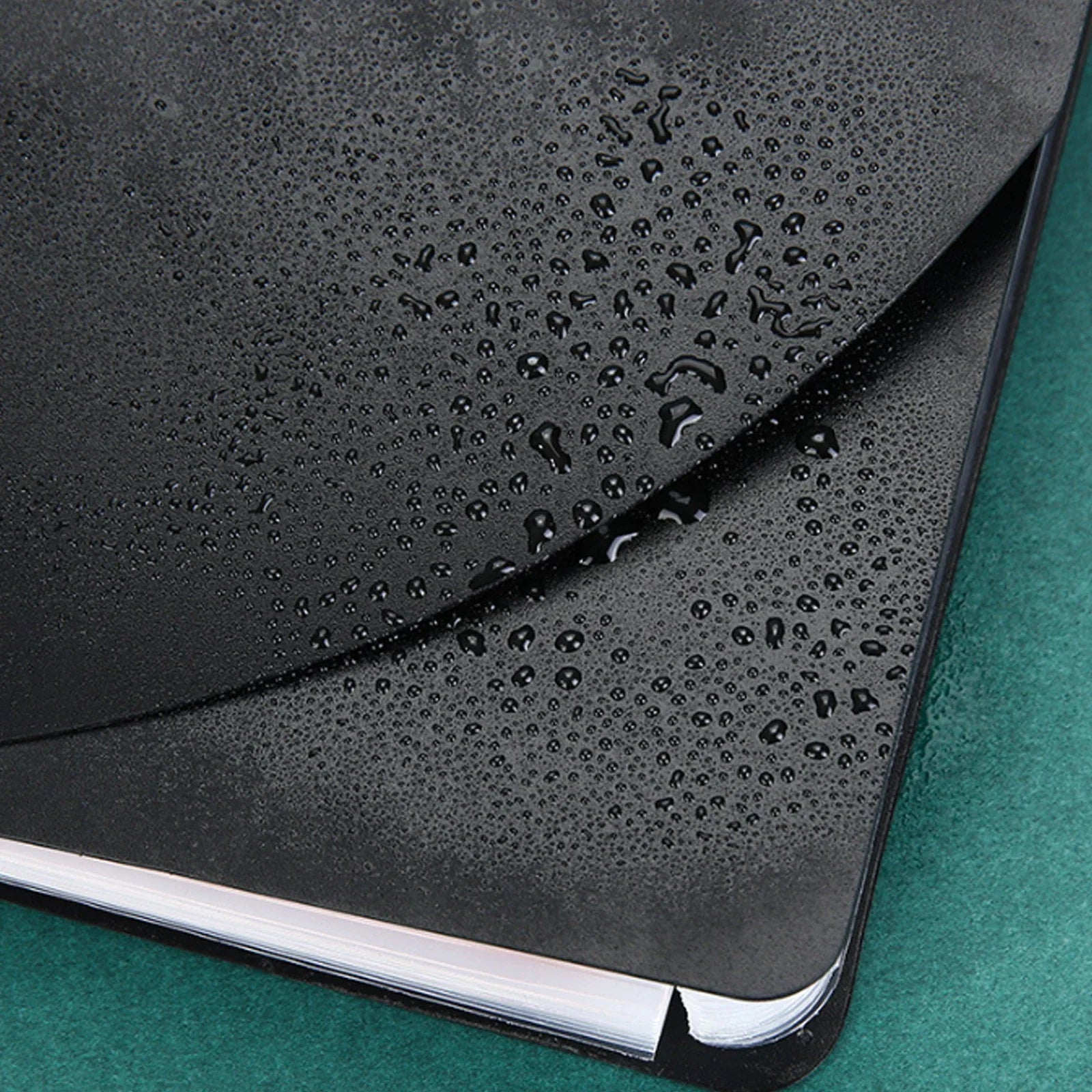 A4 Expanding File Folder with Color Tabs