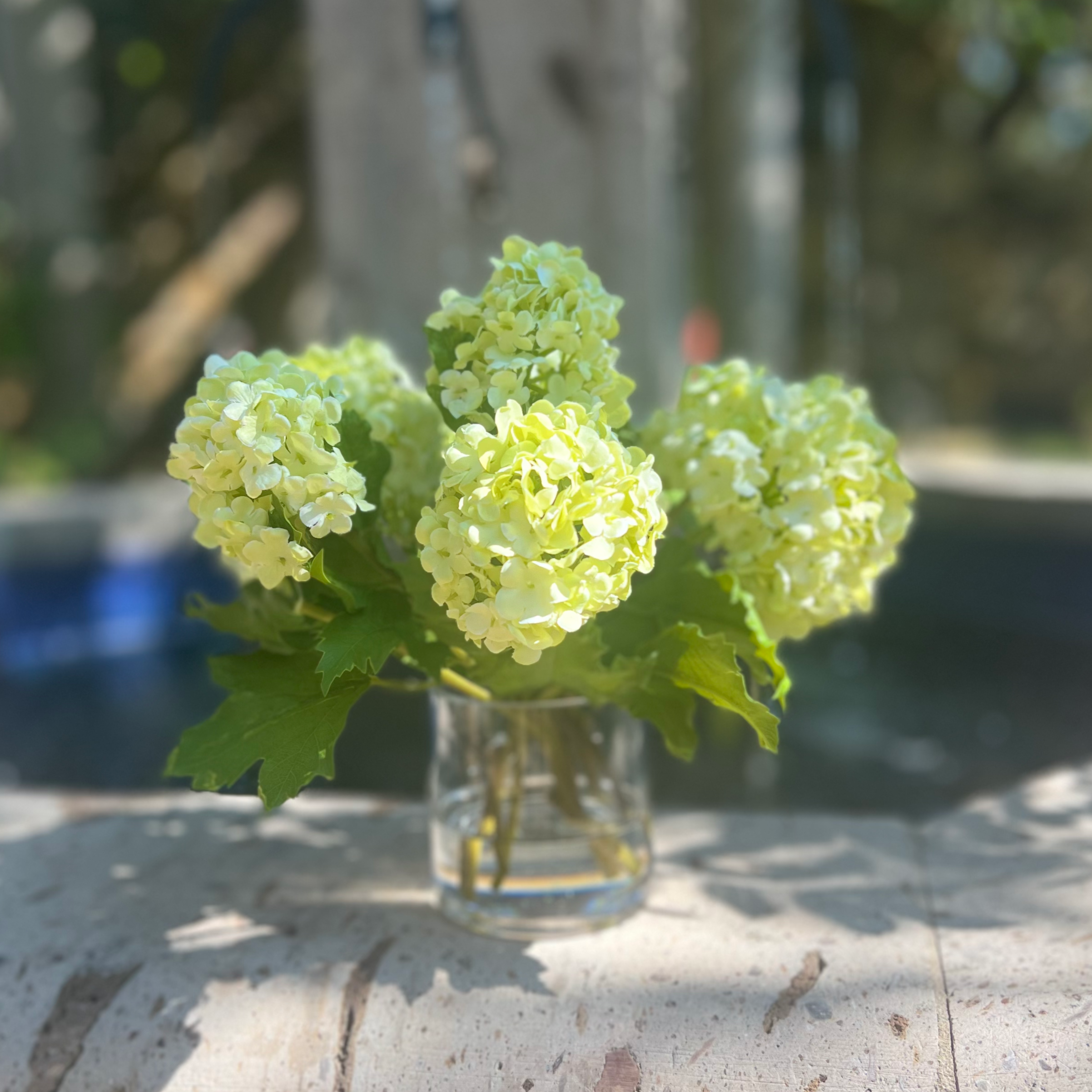 Real touch green hydrangea arrangement in glass vase - 8"
