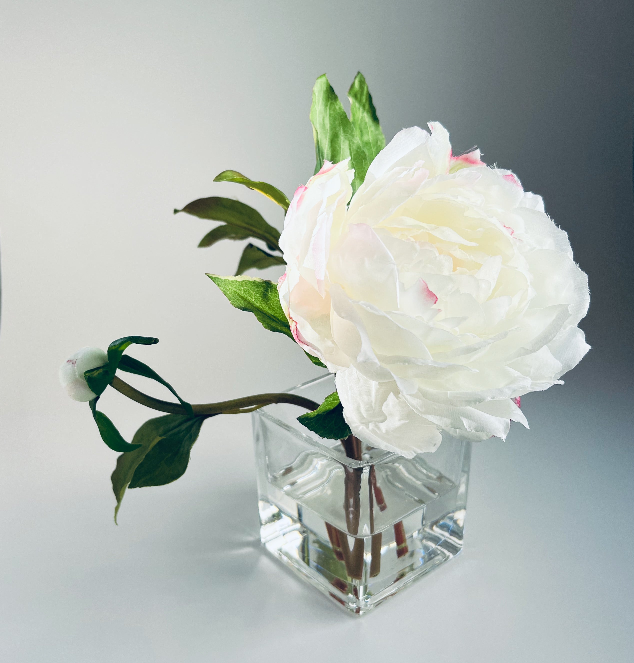 Real Touch Peony Arrangement in Glass Vase - 8"